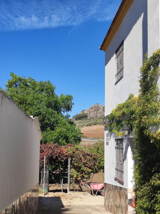 Alojamiento Rural Huerta Mandre Cuevas del Becerro 외부 사진